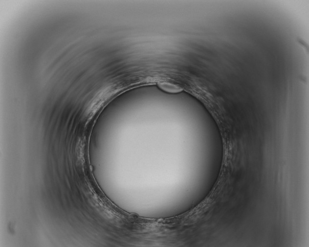 X0000099550098200805231201