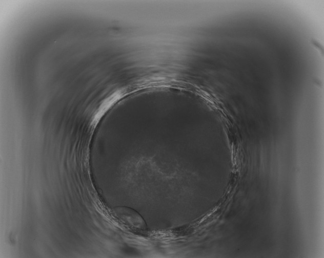 X0000099550099200805231201