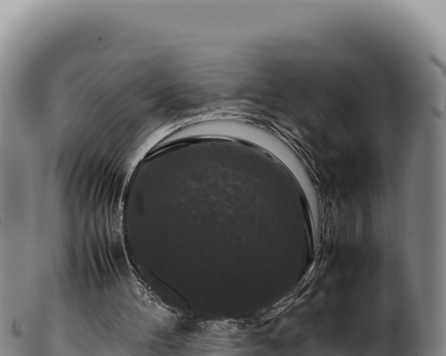 X0000099550100200805231201