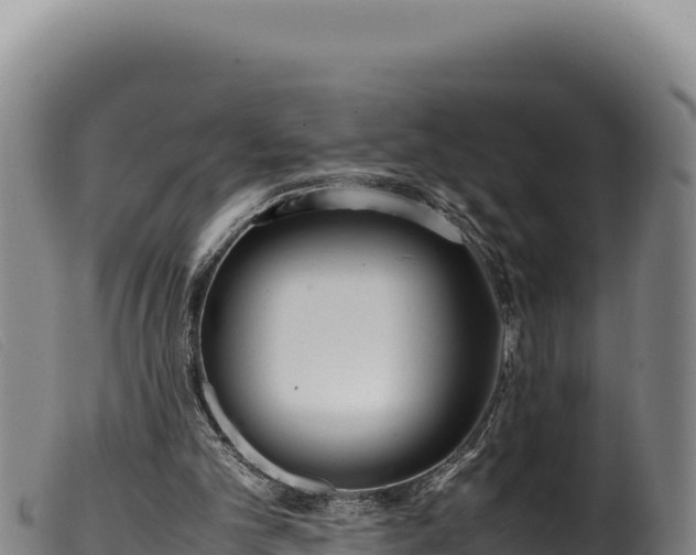 X0000099550101200805231201