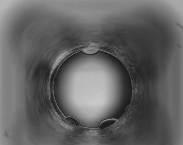 X0000099550102200805231201