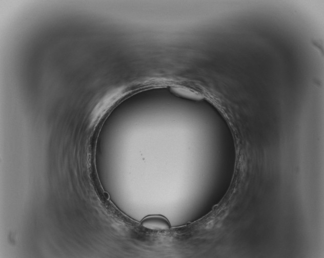 X0000099550103200805231201