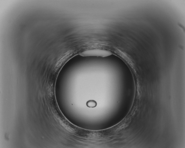 X0000099550105200805231201