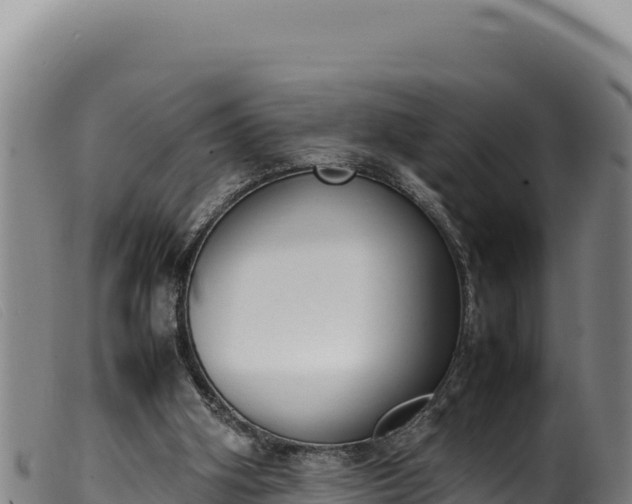 X0000099550106200805231201