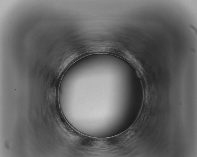 X0000099550107200805231201