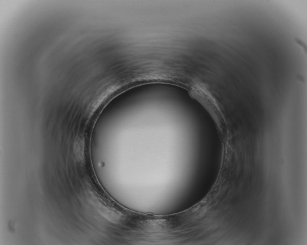 X0000099550108200805231201