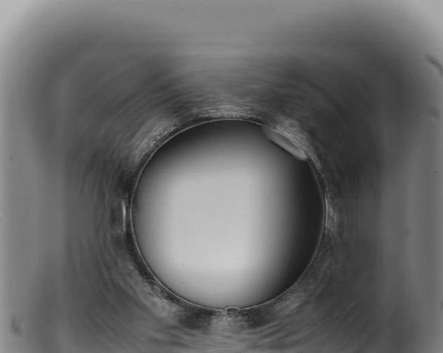 X0000099550109200805231201