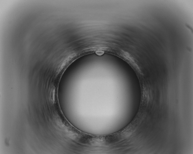 X0000099550110200805231201