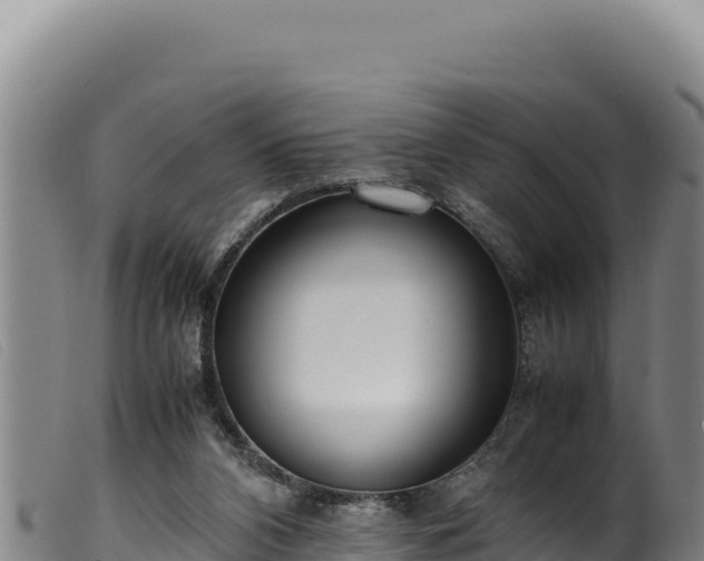 X0000099550112200805231201