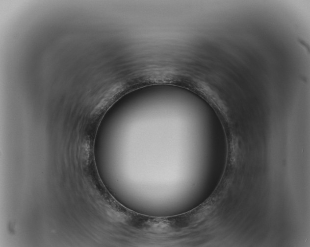 X0000099550113200805231201