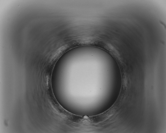 X0000099550115200805231201