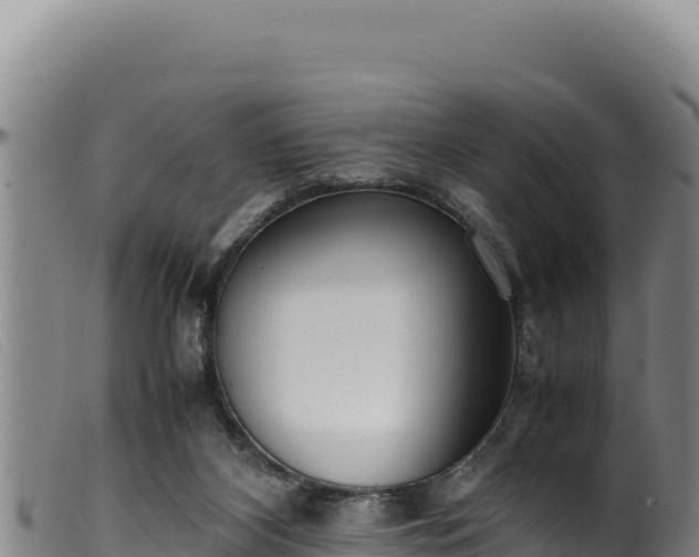 X0000099550116200805231201