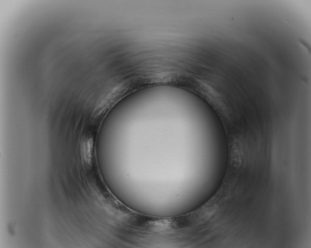 X0000099550118200805231201