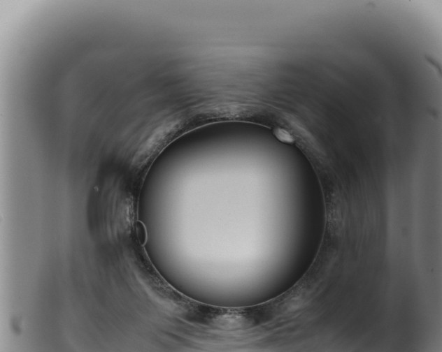 X0000099550119200805231201