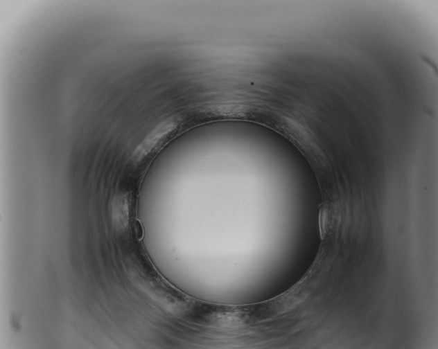 X0000099550120200805231201