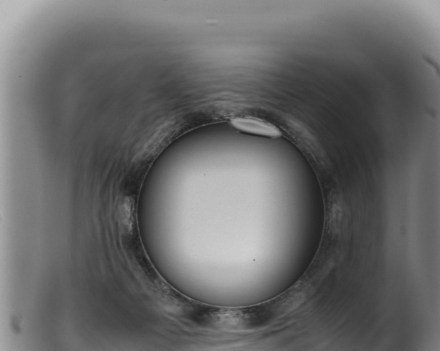 X0000099550121200805231200