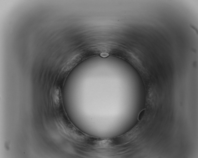 X0000099550122200805231200