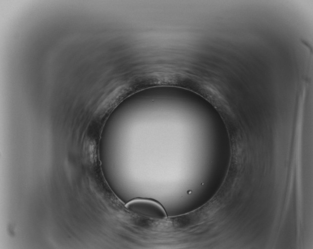 X0000099550123200805231200