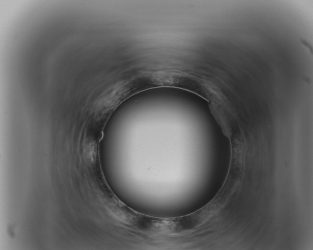 X0000099550125200805231200