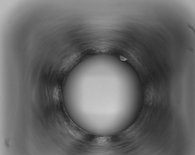 X0000099550126200805231200