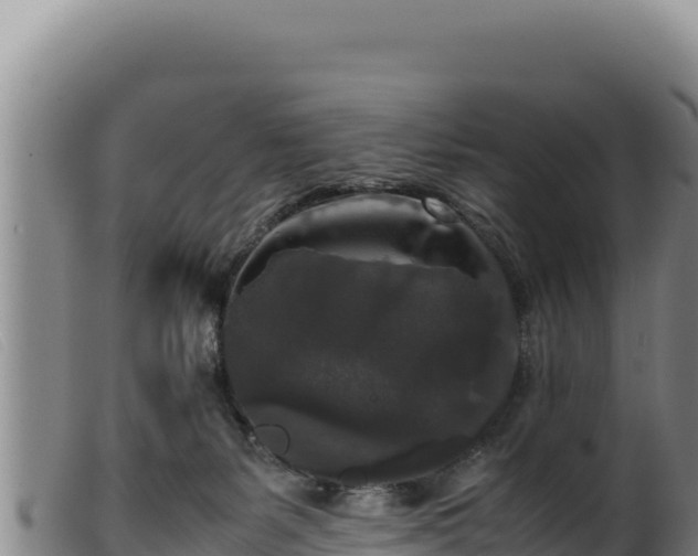 X0000099550127200805231200