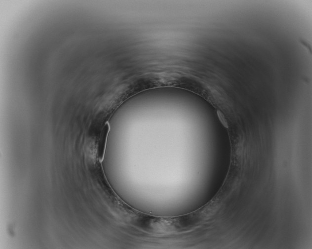 X0000099550129200805231200