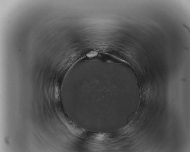 X0000099550130200805231200