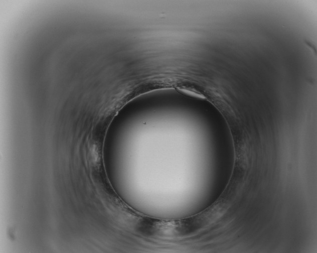 X0000099550131200805231200