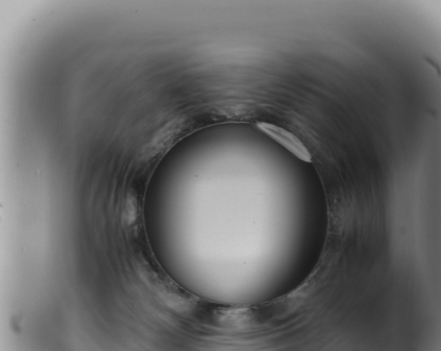 X0000099550132200805231200