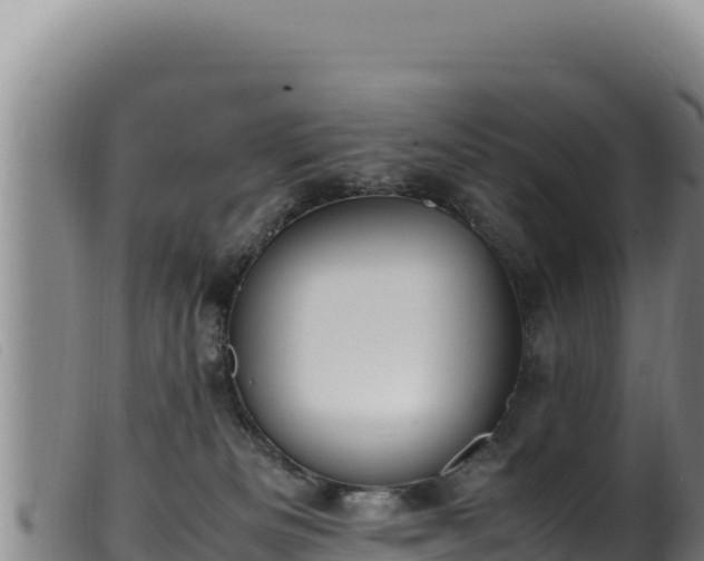 X0000099550133200805231200