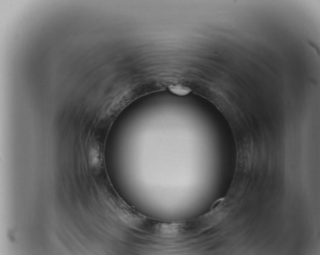 X0000099550134200805231200