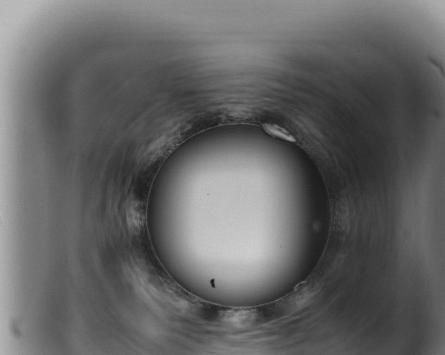 X0000099550135200805231200