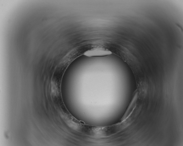 X0000099550136200805231200