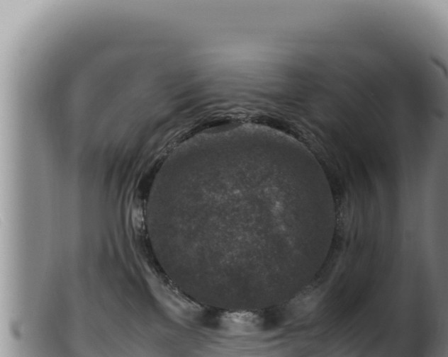 X0000099550137200805231200