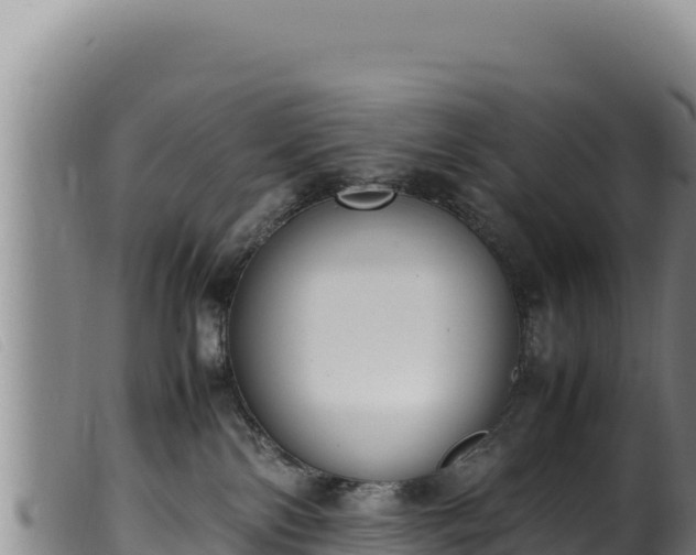 X0000099550138200805231200