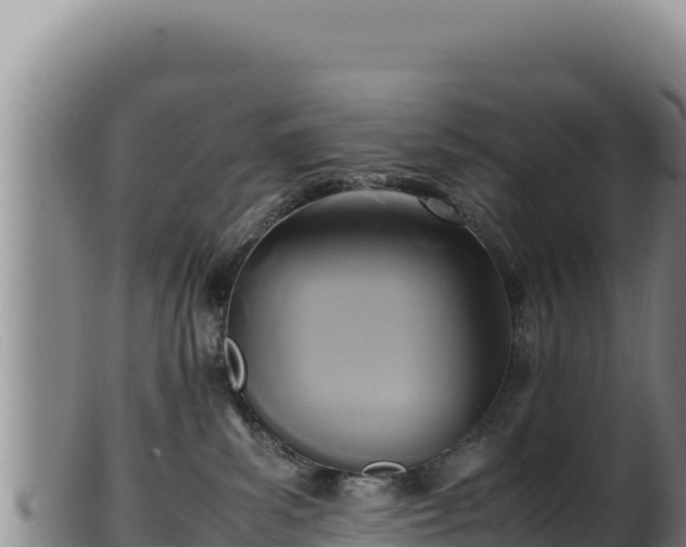 X0000099550139200805231200