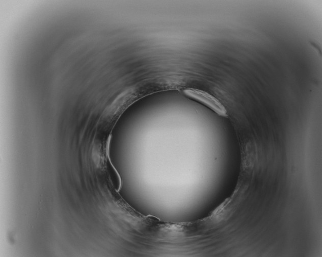 X0000099550140200805231200