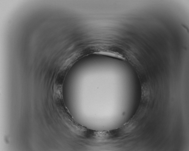 X0000099550141200805231200