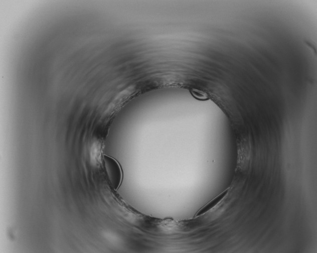 X0000099550142200805231200