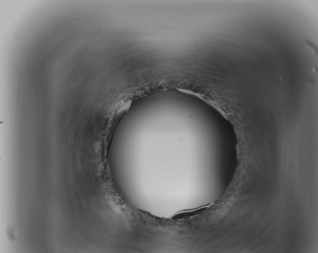 X0000099550144200805231200