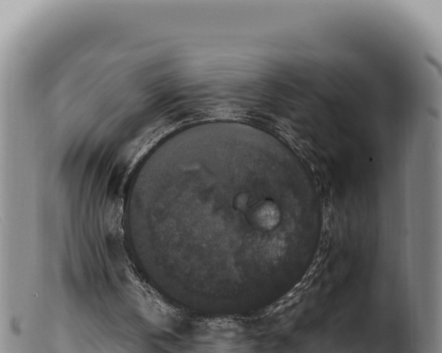 X0000099550146200805231159