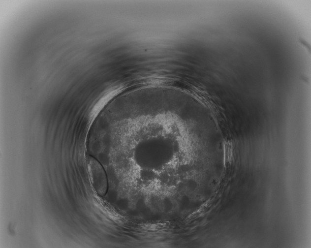 X0000099550147200805231159