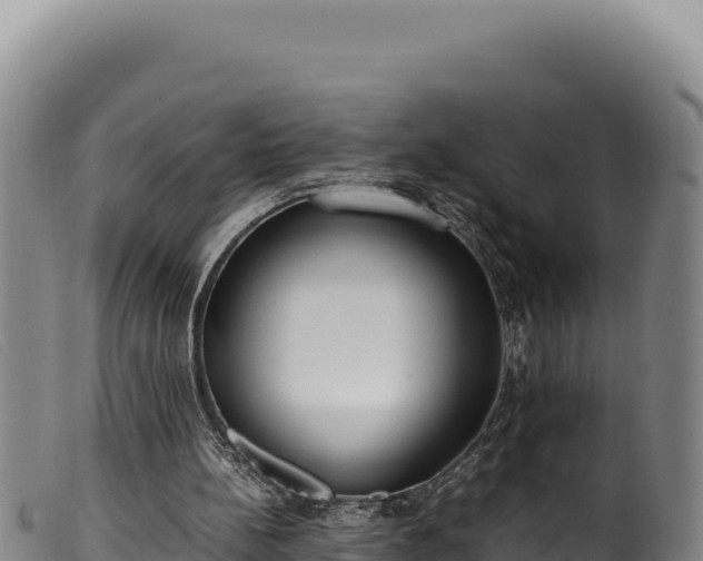 X0000099550148200805231159