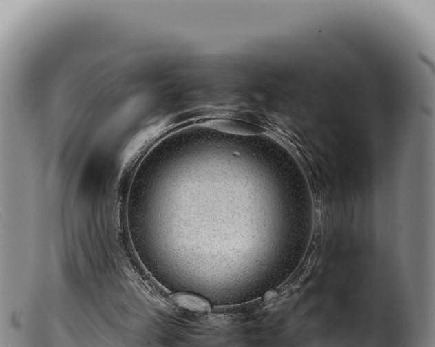 X0000099550149200805231159