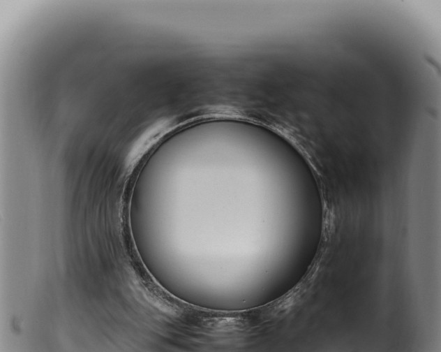 X0000099550151200805231159