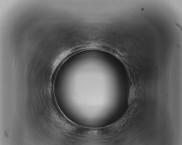 X0000099550152200805231159