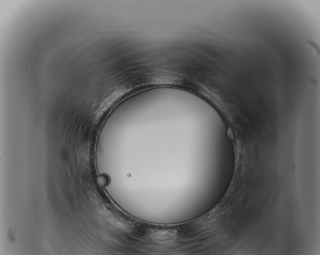 X0000099550155200805231200