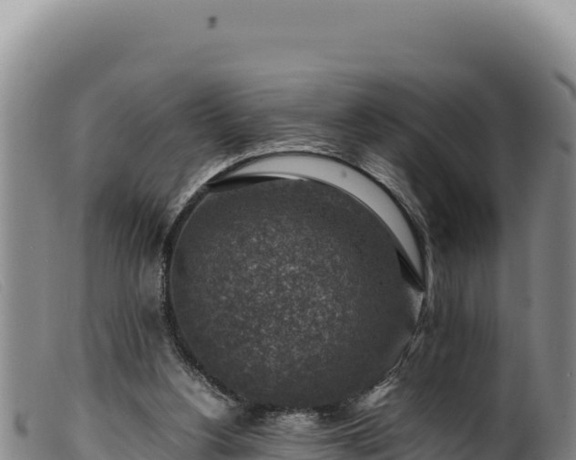 X0000099550156200805231200