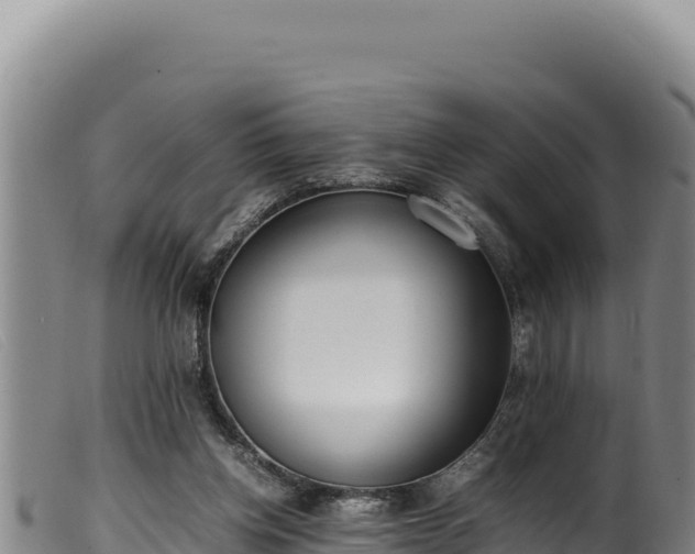 X0000099550158200805231200