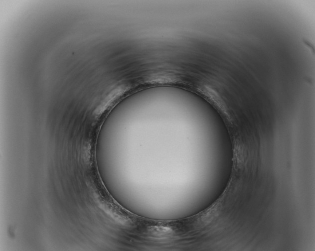 X0000099550159200805231200